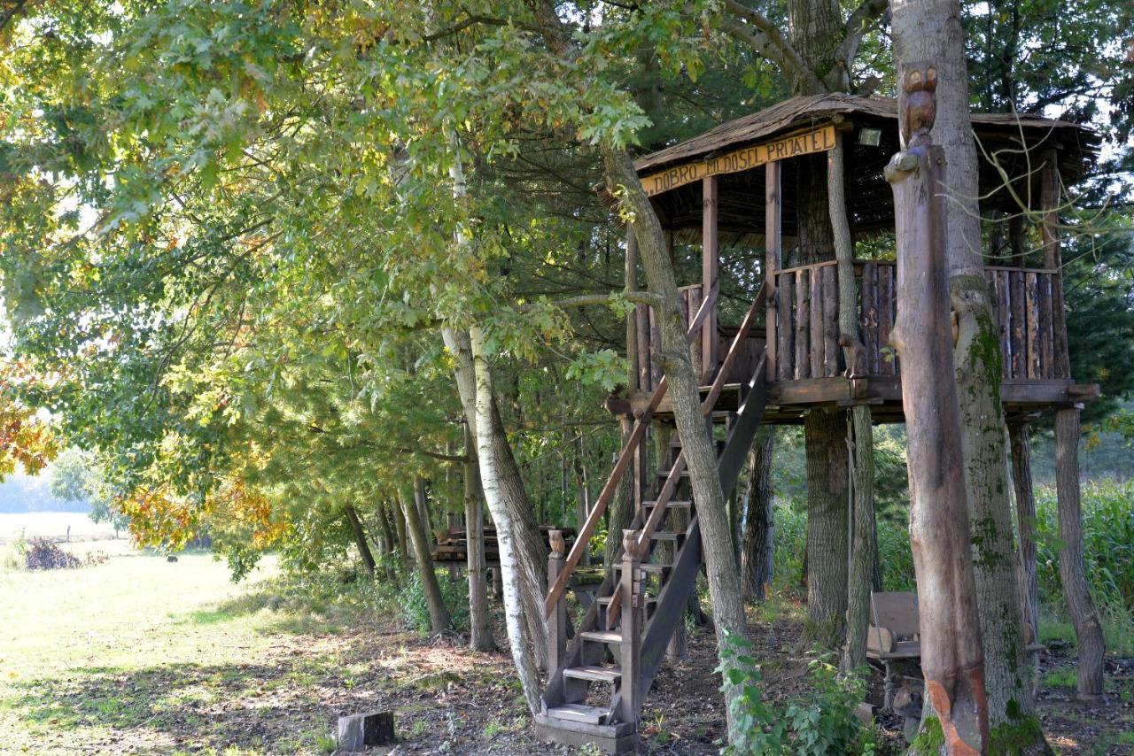 Old Oak House With Pool Vila Marusevec Exterior foto